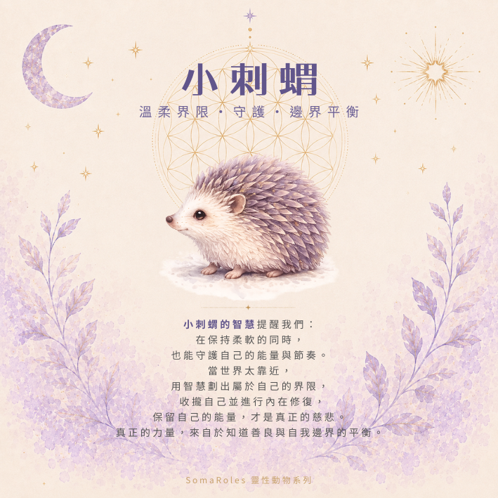 小物 banner 1